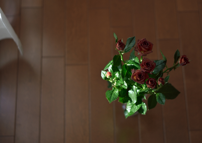 DSC01815-3c.jpg