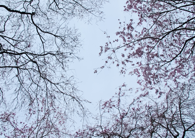DSC04846b.jpg
