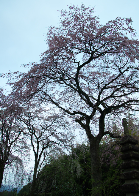 DSC04960b.jpg