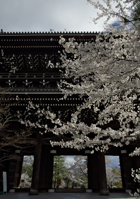 DSC05180a.jpg