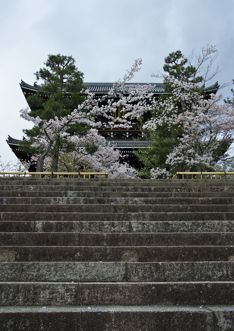 DSC05160b.jpg