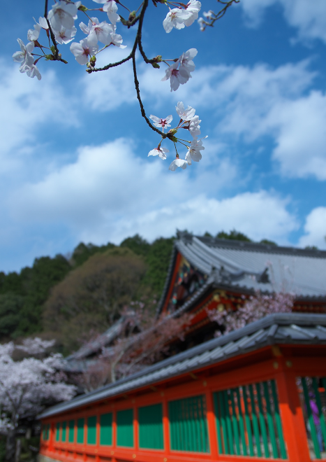 DSC05339a.jpg