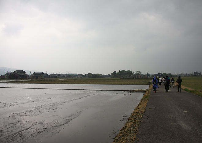 DSC_1676a.jpg