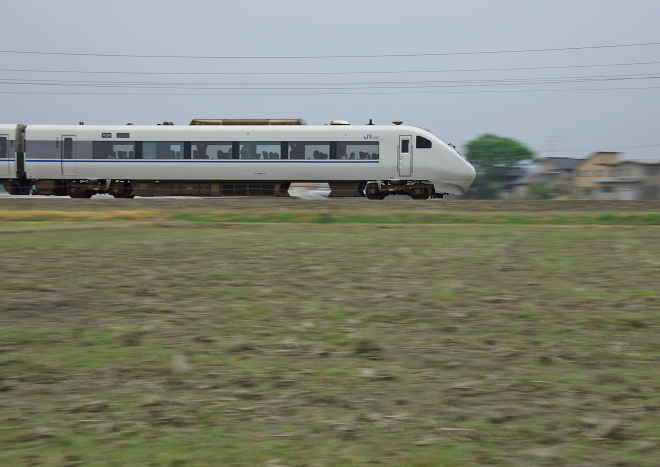 DSC_1864a.jpg