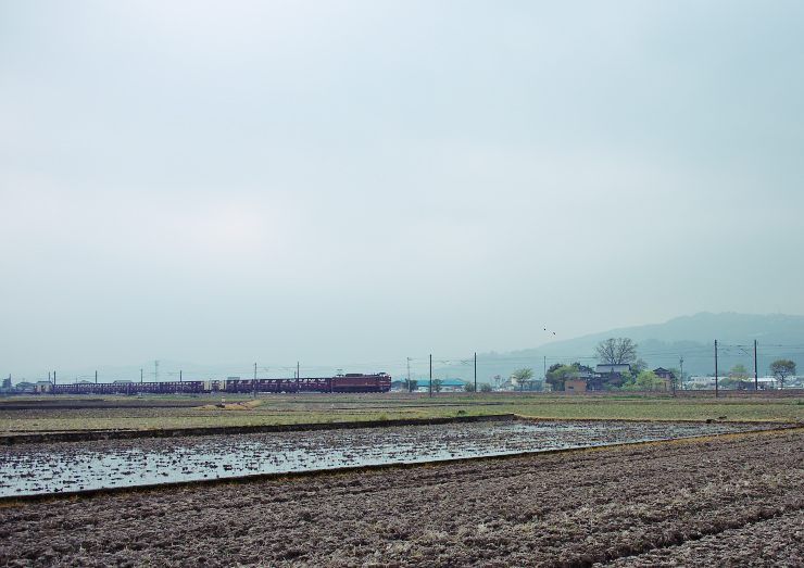 DSC_1552-3a740.jpg