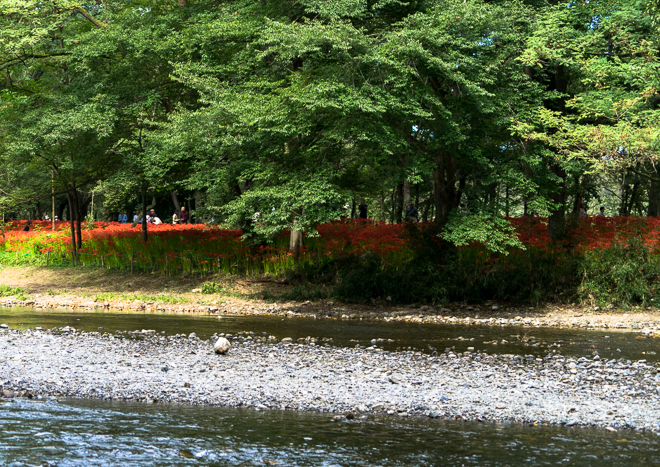 DSC03392-33.jpg