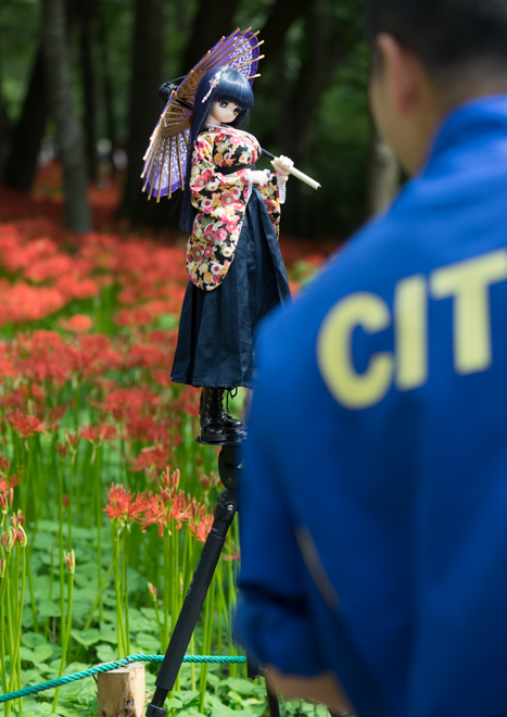 DSC03463-11.jpg
