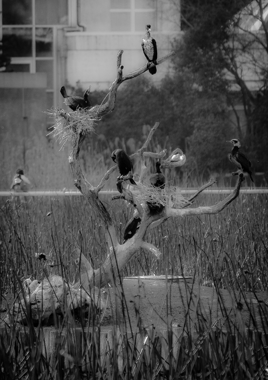 DSC03552-2-22.jpg