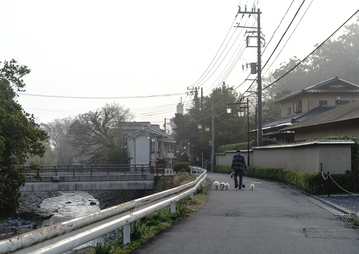 DSC01923-11.jpg