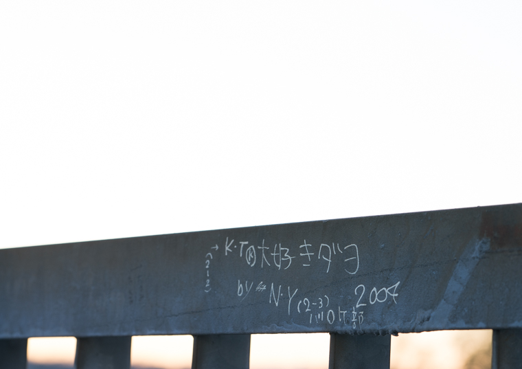 DSC08730-11.jpg