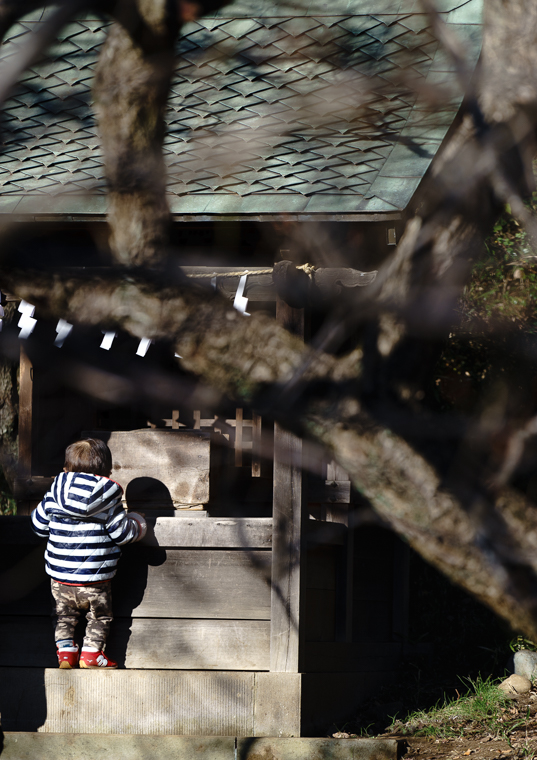 DSC08781-11.jpg
