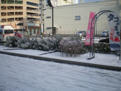 ビル前の雪景色