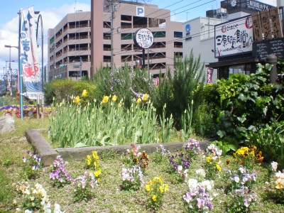 花壇2