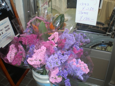 さぎ島の花