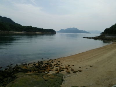 小さぎの朝