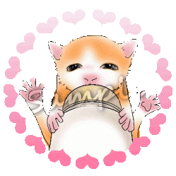 ミルクを飲む仔猫