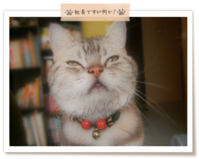 写真フレーム使用例