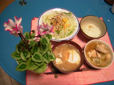 R0029047チキンとキャベツと豆のスープ煮、落とし卵の味噌汁、野菜サラダ_400.jpg