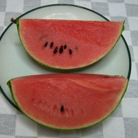 R0031609小玉西瓜_200.jpg