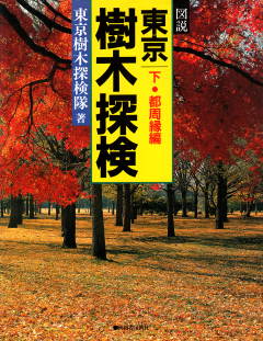 表