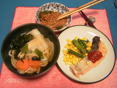 R0033333夜-野菜うどん、鮭ソテー、めかぶ納豆_400.jpg