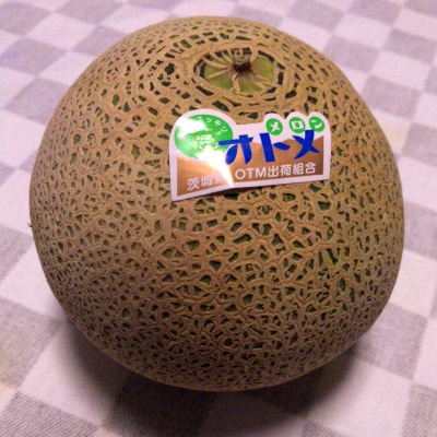 SBSH0219_0525オトメメロン_400.jpg