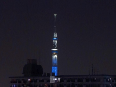 RIMG0003_0111夜玄関スカイツリー_400.jpg