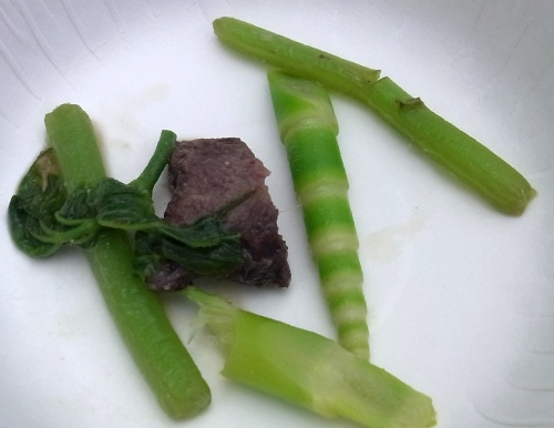 RIMG0090_0627山頂で昼食-熊鍋いただく_500.jpg