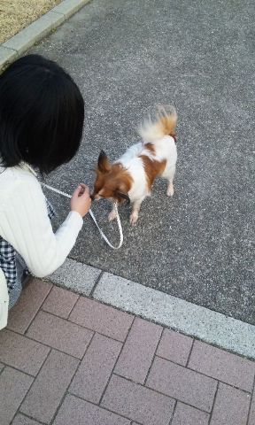 歩けたねぇ〜