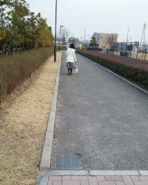 おいで〜