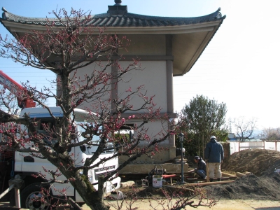 収蔵庫移動
