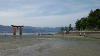 110606_154132_ed.jpg