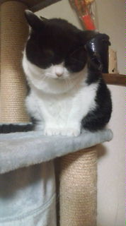 20110625210218.jpg