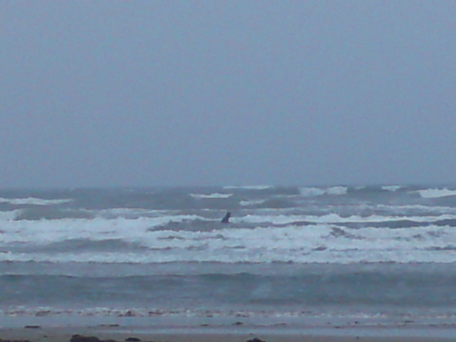 SN3J0119.jpg