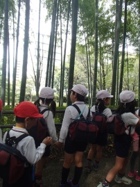 PA145436.JPG
