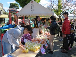 野菜.JPG