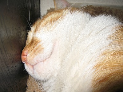 s-IMG_4179.jpg