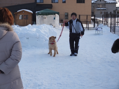 DSCF1633.JPG