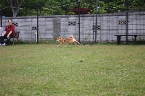 IMG_0853.JPG