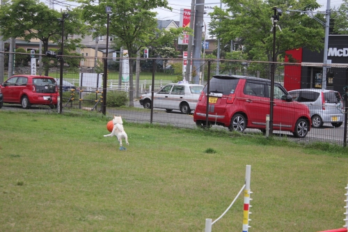 IMG_0874.JPG