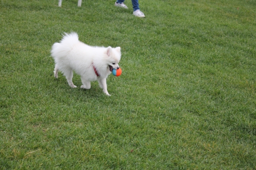 IMG_3223.JPG