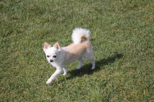 IMG_3900.JPG