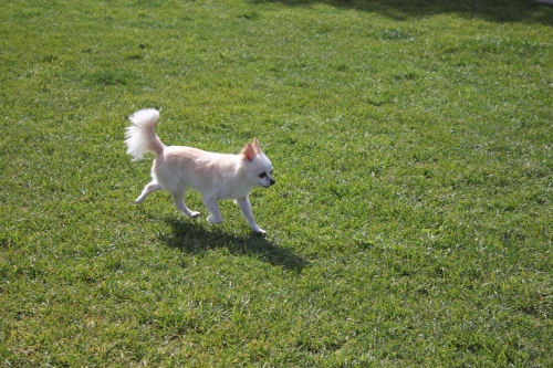 IMG_3897.JPG