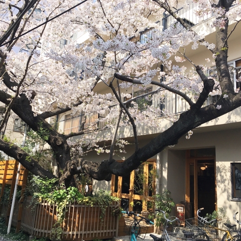パドラーズコーヒーさん | MATSUGEN BLOG