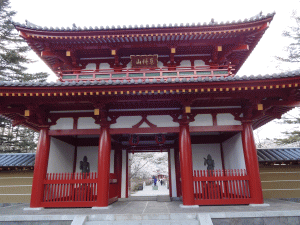 蓼科1