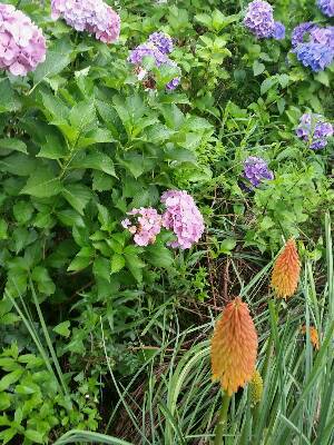 shareimage20150702_112652.jpg