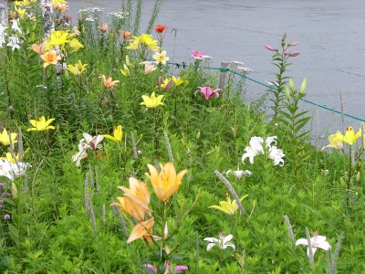 花