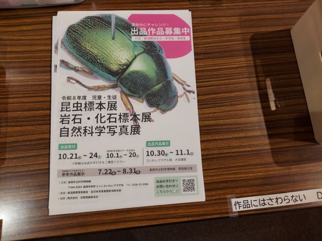 2026年08月06日の記事 | 昆虫はかせネットワークブログ