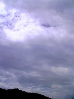 090801_101813.jpg