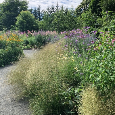    ե ̳ƻ ear plant hokkaido japan